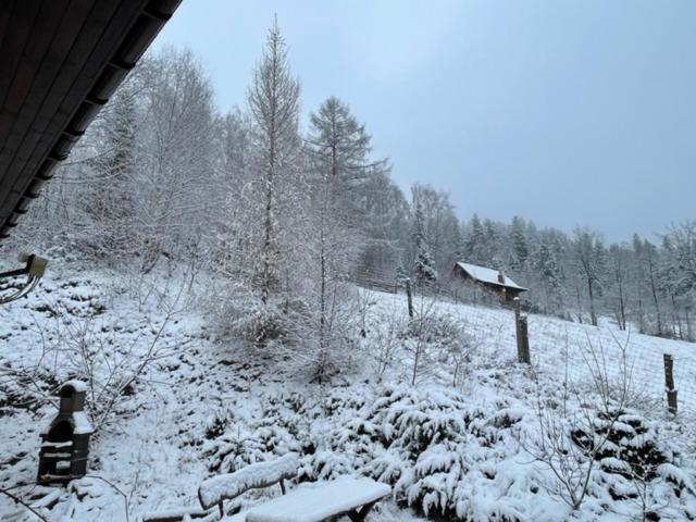 Dom Na Wzgorzu - Brenna Villa Eksteriør billede