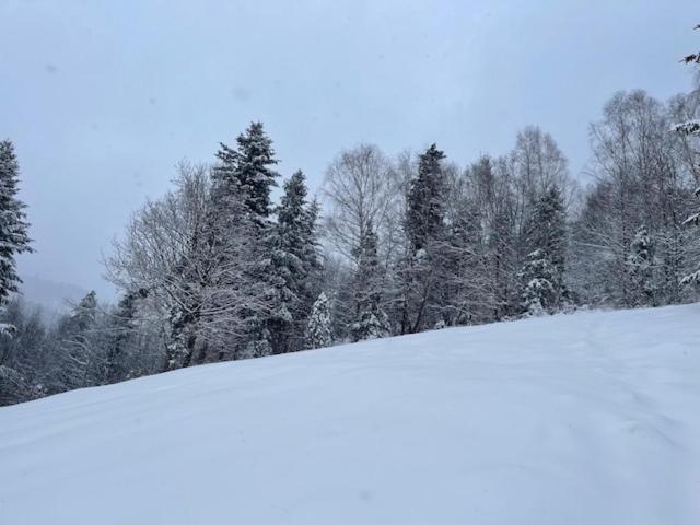 Dom Na Wzgorzu - Brenna Villa Eksteriør billede